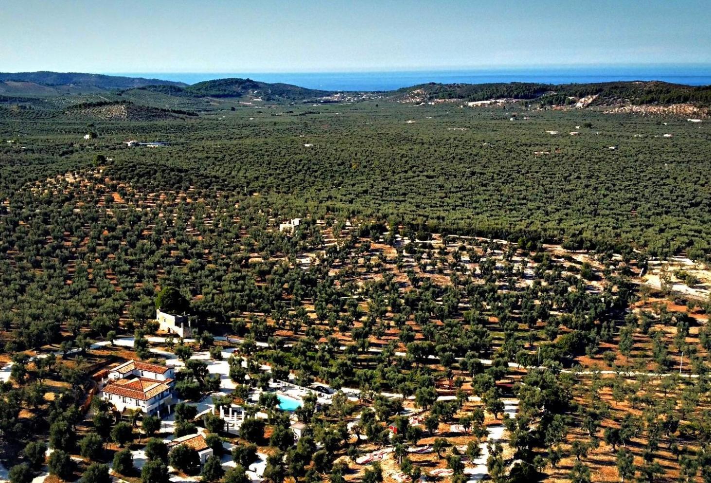 Agricampeggio - Solo Piazzole Vuote - Agriturismo Passione Natura Vieste Extérieur photo